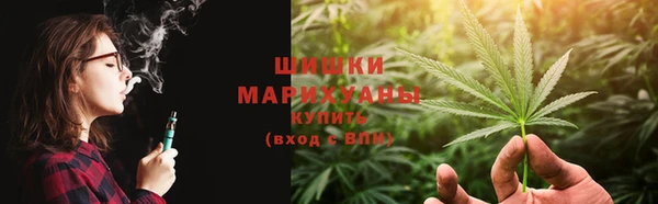 mdpv Белокуриха