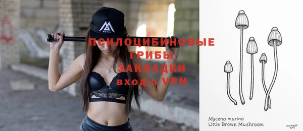 mdpv Белокуриха