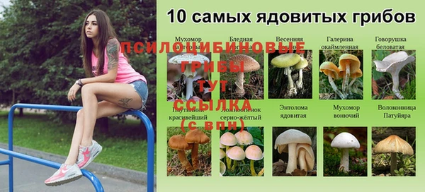 кокаин Беломорск