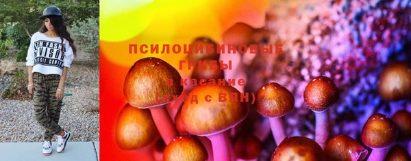 mdpv Белокуриха