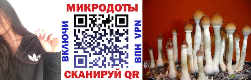 Псилоцибиновые грибы Magic Shrooms  Купить закладки  Минеральные Воды 