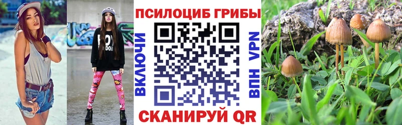 Галлюциногенные грибы Psilocybe Минеральные Воды